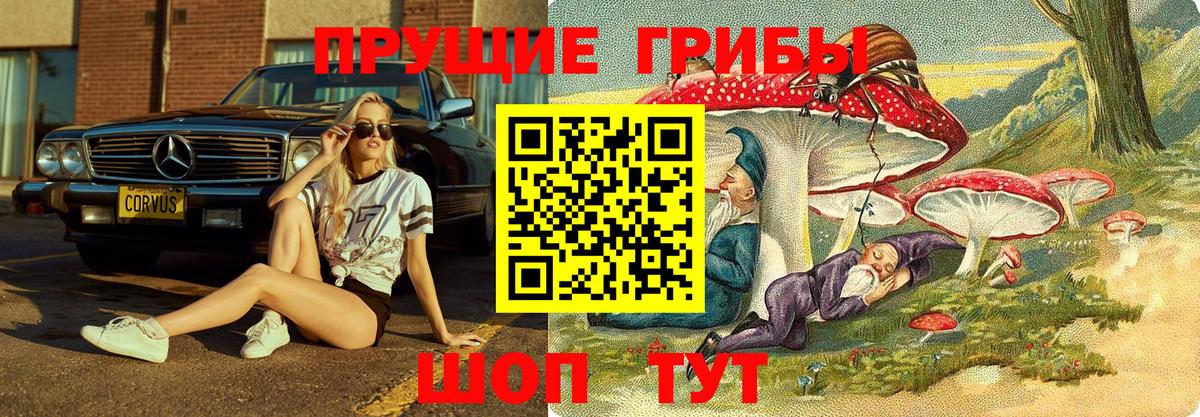 Псилоцибиновые грибы Psilocybe  Псилоцибиновые грибы GOLDEN TEACHER  Нижневартовск  Вход с VPN 